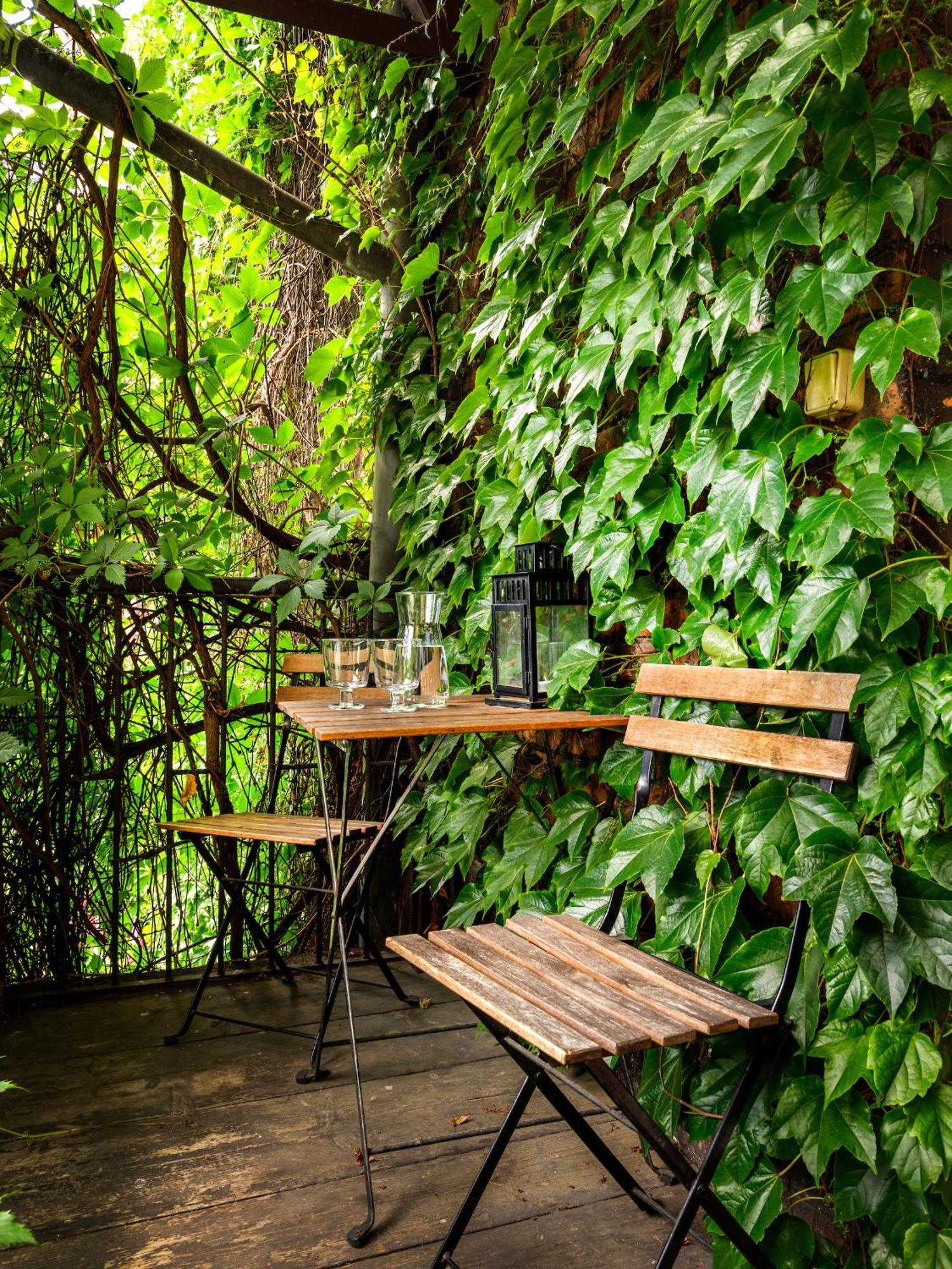Tyzenhauz Grand Krakow
